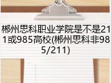 郴州思科职业学院是不是211或985高校(郴州思科非985/211)