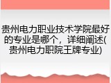贵州电力职业技术学院最好的专业是哪个，详细阐述(贵州电力职院王牌专业)