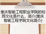 重庆智能工程职业学院的校园文化是什么，简介(重庆智能工程学院文化简介)