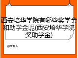 西安培华学院有哪些奖学金和助学金呢(西安培华学院奖助学金)