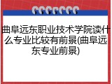 曲阜远东职业技术学院读什么专业比较有前景(曲阜远东专业前景)
