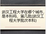武汉工程大学在哪个城市，是本科吗，第几批(武汉工程大学批次本科)