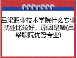 吕梁职业技术学院什么专业就业比较好，原因是啥(吕梁职院优势专业)