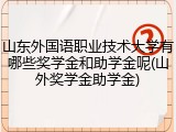山东外国语职业技术大学有哪些奖学金和助学金呢(山外奖学金助学金)