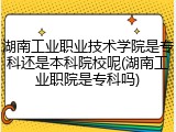 湖南工业职业技术学院是专科还是本科院校呢(湖南工业职院是专科吗)
