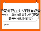 曹妃甸职业技术学院有哪些专业，就业前景如何(曹妃甸专业就业前景)