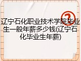 辽宁石化职业技术学院毕业生一般年薪多少钱(辽宁石化毕业生年薪)