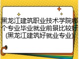 黑龙江建筑职业技术学院哪个专业毕业就业前景比较好(黑龙江建筑好就业专业)