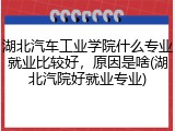 湖北汽车工业学院什么专业就业比较好，原因是啥(湖北汽院好就业专业)