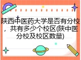 陕西中医药大学是否有分校，共有多少个校区(陕中医分校及校区数量)