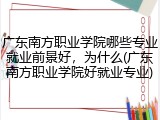 广东南方职业学院哪些专业就业前景好，为什么(广东南方职业学院好就业专业)
