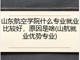 山东航空学院什么专业就业比较好，原因是啥(山航就业优势专业)