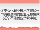 辽宁石化职业技术学院如何申请在读间的创业无息贷款(辽宁石化创业贷款申请)