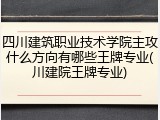 四川建筑职业技术学院主攻什么方向有哪些王牌专业(川建院王牌专业)