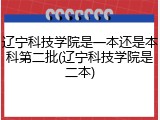 辽宁科技学院是一本还是本科第二批(辽宁科技学院是二本)