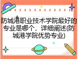 防城港职业技术学院最好的专业是哪个，详细阐述(防城港学院优势专业)