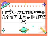 山东艺术学院有哪些专业，几个校区(山艺专业校区概况)