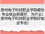 贵州电子科技职业学院哪些专业就业前景好，为什么(贵州电子科技职业学院好就业专业)