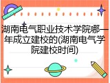 湖南电气职业技术学院哪一年成立建校的(湖南电气学院建校时间)