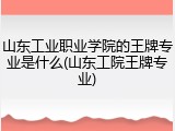 山东工业职业学院的王牌专业是什么(山东工院王牌专业)