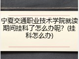 宁夏交通职业技术学院就读期间挂科了怎么办呢？(挂科怎么办)