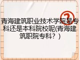 青海建筑职业技术学院是专科还是本科院校呢(青海建筑职院专科？)