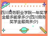 四川商务职业学院一年奖学金最多能拿多少(四川商务奖学金最高多少)