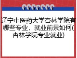 辽宁中医药大学杏林学院有哪些专业，就业前景如何(杏林学院专业就业)