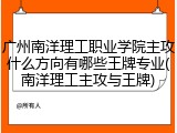 广州南洋理工职业学院主攻什么方向有哪些王牌专业(南洋理工主攻与王牌)