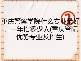 重庆警察学院什么专业最好，一年招多少人(重庆警院优势专业及招生)