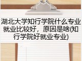 湖北大学知行学院什么专业就业比较好，原因是啥(知行学院好就业专业)