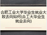 合肥工业大学毕业生就业大致去向如何(合工大毕业生就业去向)