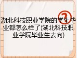 湖北科技职业学院的学生毕业都怎么样了(湖北科技职业学院毕业生去向)
