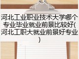 河北工业职业技术大学哪个专业毕业就业前景比较好(河北工职大就业前景好专业)