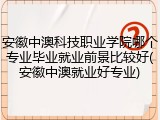安徽中澳科技职业学院哪个专业毕业就业前景比较好(安徽中澳就业好专业)
