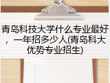 青岛科技大学什么专业最好，一年招多少人(青岛科大优势专业招生)