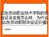 山东劳动职业技术学院的毕业证含金量怎么样，为什么(山东劳动职院毕业证价值)