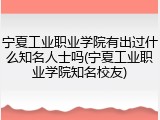 宁夏工业职业学院有出过什么知名人士吗(宁夏工业职业学院知名校友)