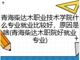 青海柴达木职业技术学院什么专业就业比较好，原因是啥(青海柴达木职院好就业专业)