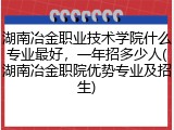 湖南冶金职业技术学院什么专业最好，一年招多少人(湖南冶金职院优势专业及招生)
