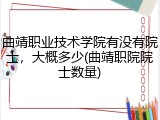 曲靖职业技术学院有没有院士，大概多少(曲靖职院院士数量)
