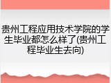 贵州工程应用技术学院的学生毕业都怎么样了(贵州工程毕业生去向)
