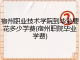 宿州职业技术学院到毕业要花多少学费(宿州职院毕业学费)
