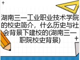 湖南三一工业职业技术学院的校史简介，什么历史与社会背景下建校的(湖南三一职院校史背景)