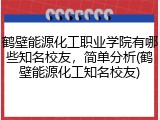 鹤壁能源化工职业学院有哪些知名校友，简单分析(鹤壁能源化工知名校友)
