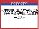 天津机电职业技术学院是双一流大学吗?(天津机电是双一流吗)