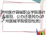 泸州医疗器械职业学院是什么级别，公办还是民办(泸州医械学院级别性质)