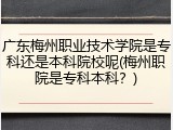 广东梅州职业技术学院是专科还是本科院校呢(梅州职院是专科本科？)