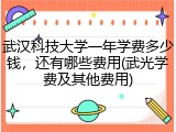 武汉科技大学一年学费多少钱，还有哪些费用(武光学费及其他费用)