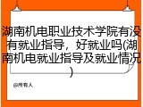 湖南机电职业技术学院有没有就业指导，好就业吗(湖南机电就业指导及就业情况)